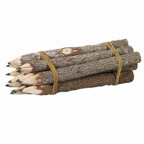 Branch Graphite Pencil Bundle 12 pcs