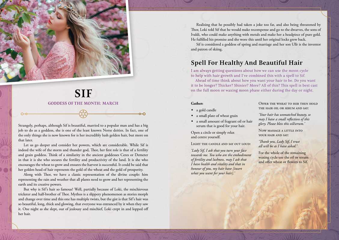 2026 Lunar and Seasonal Planner Calendar: Northern Hemisphere by Stacey  Demarco