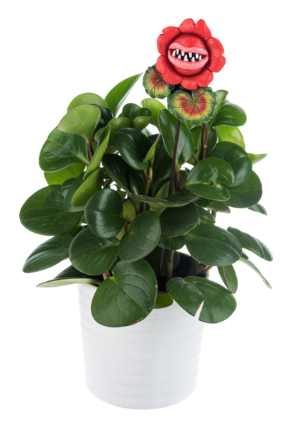 Killer Plants - Flower Plant Pick