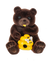 Honey Bear Pocket Token