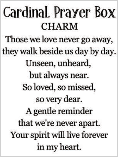 Cardinal Prayer Box Pocket Charm with Message Card | Memorial Gift & Pocket Keepsake