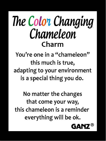 Color Changing Chameleon Pocket Token
