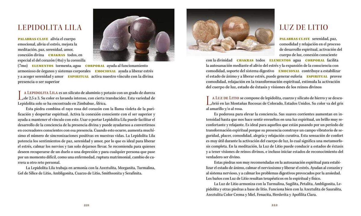 Libro de bolsillo de piedras by Robert Simmons