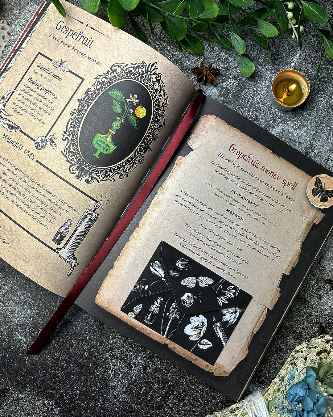Witch’s Magickal Spellbook – Create Charms, Potions & Plant Magic for Love, Luck &amp; Renewal