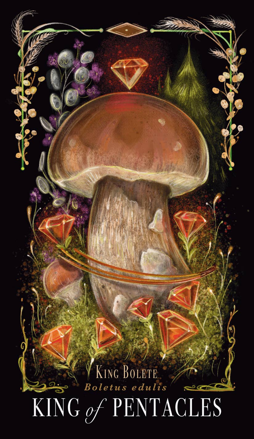 Midnight Magic Tarot by Sara Richard
