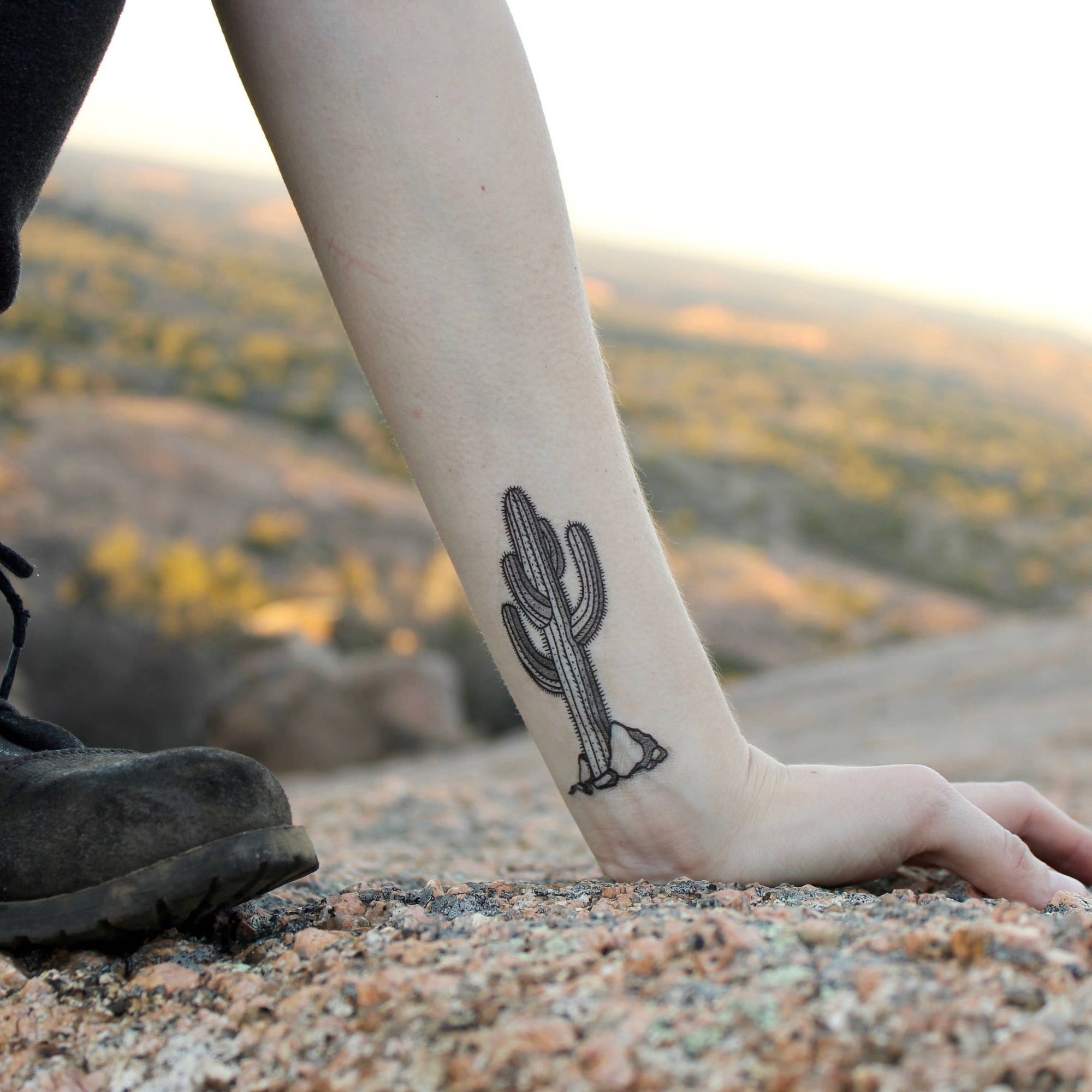 Desert Wild Temporary Tattoo