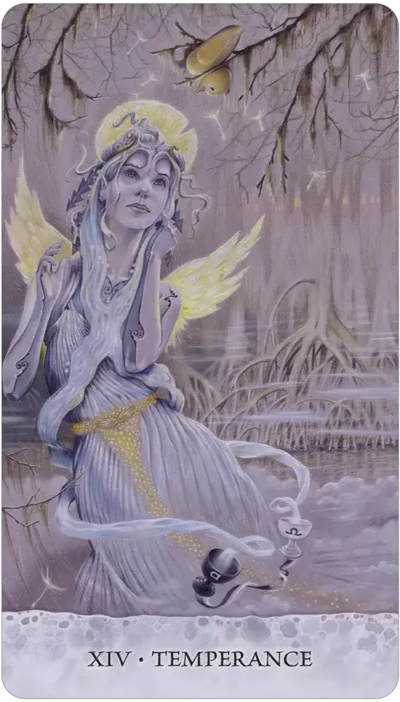 Tarot of Tides: The Adventures of a Duck Named Bob