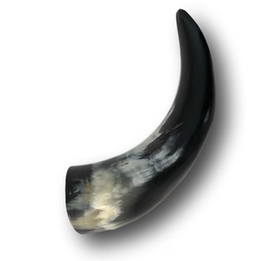 Polished Buffalo Horn - Natural Buffalo Horn (6-10 Inches)