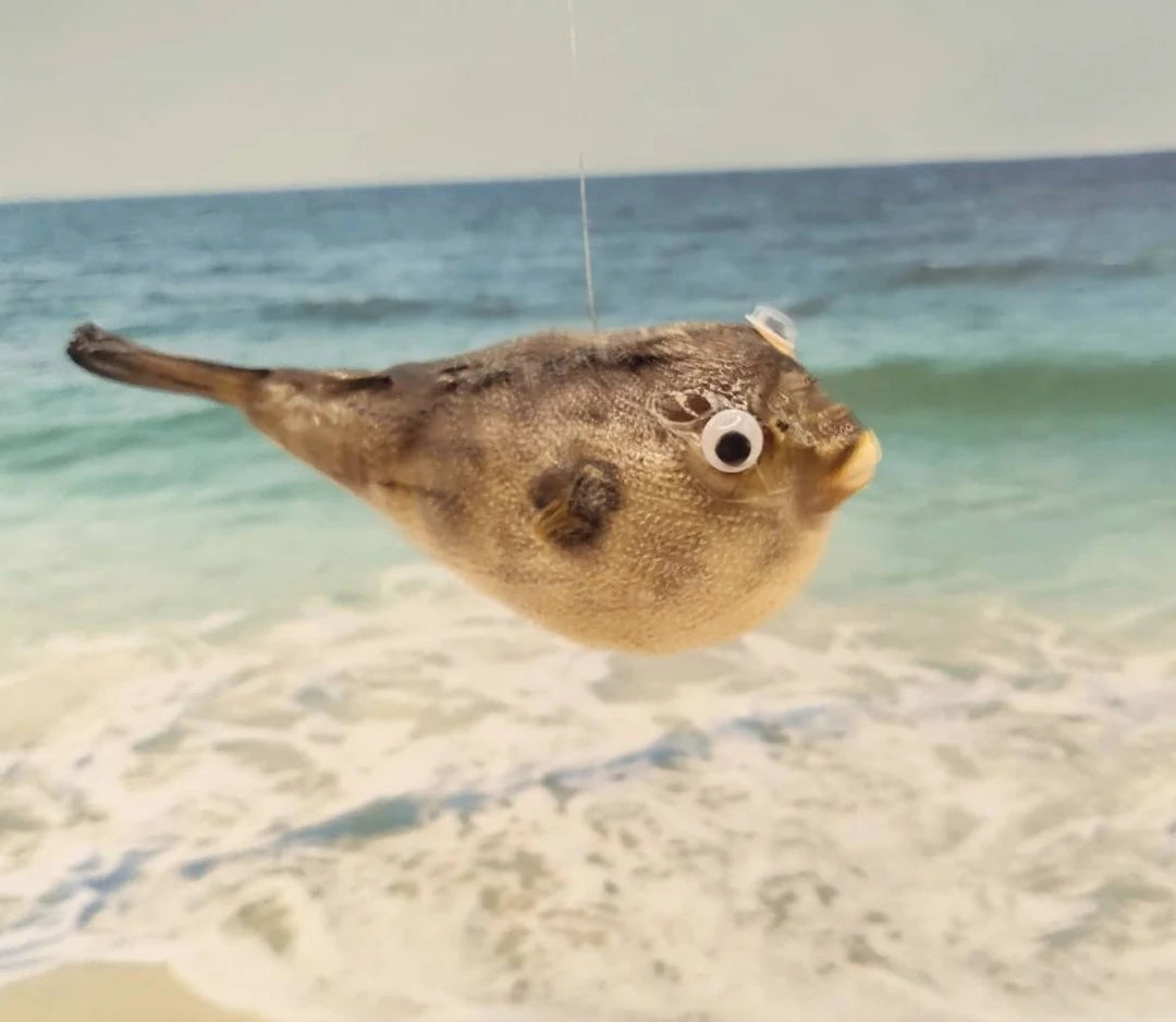 Claws, Jaws, and Such