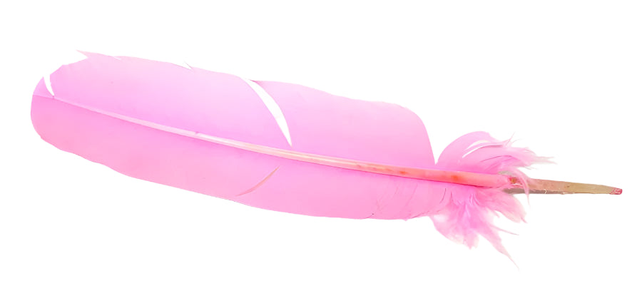 Smudging Feather - Assorted Styles