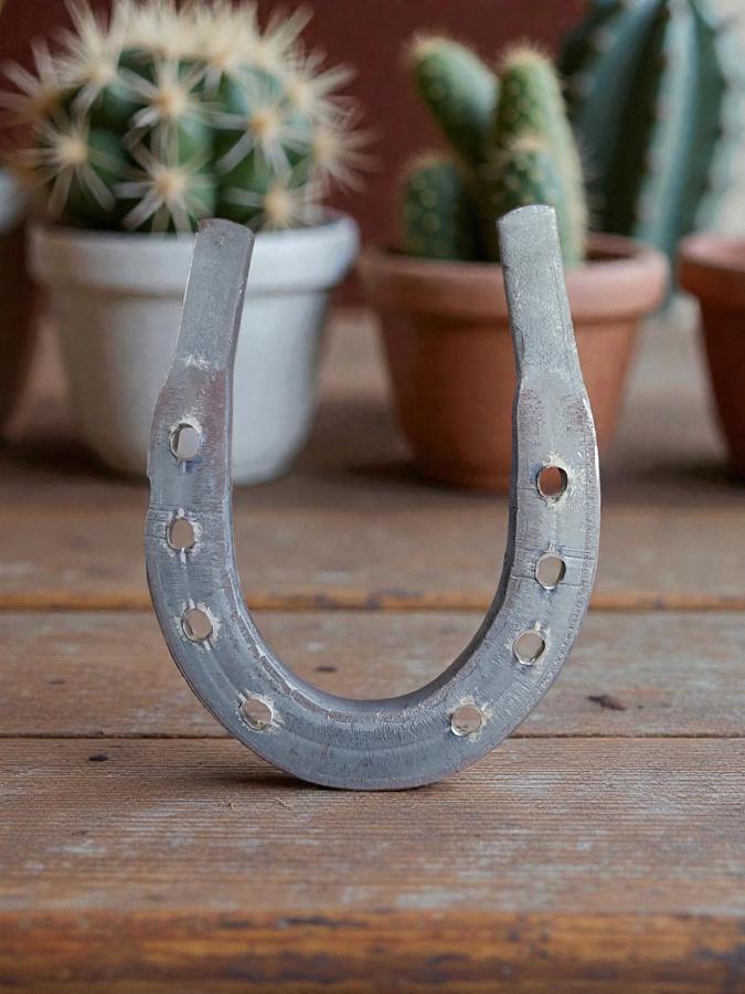 Real Iron Horseshoe | Lucky Protection Charm for Home & Altar