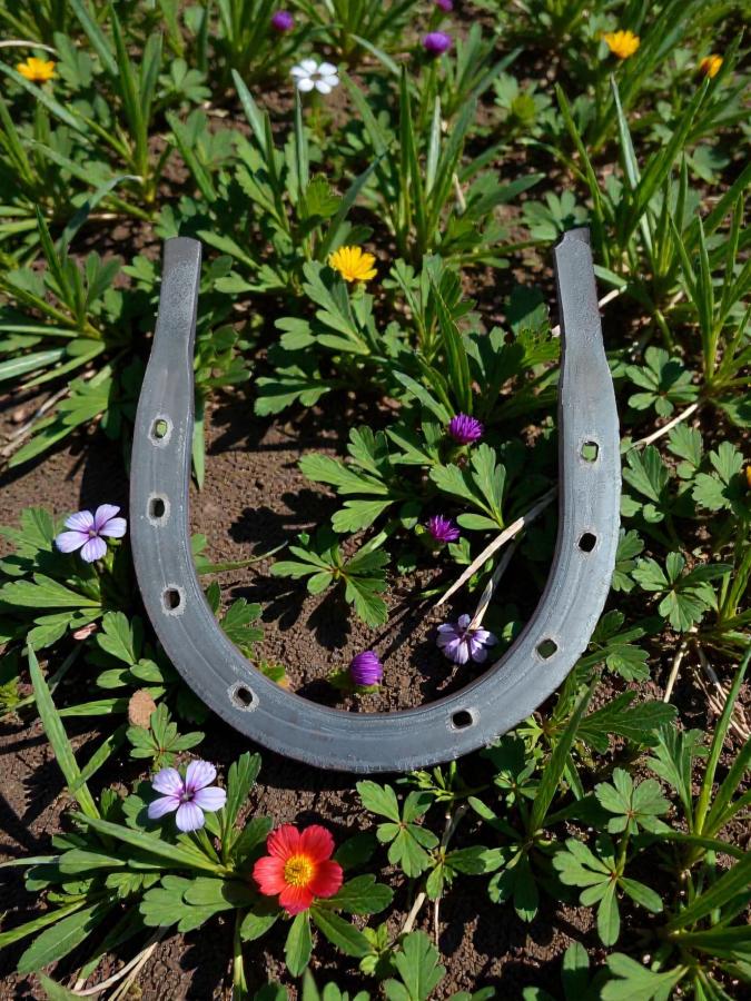 Real Iron Horseshoe | Lucky Protection Charm for Home & Altar