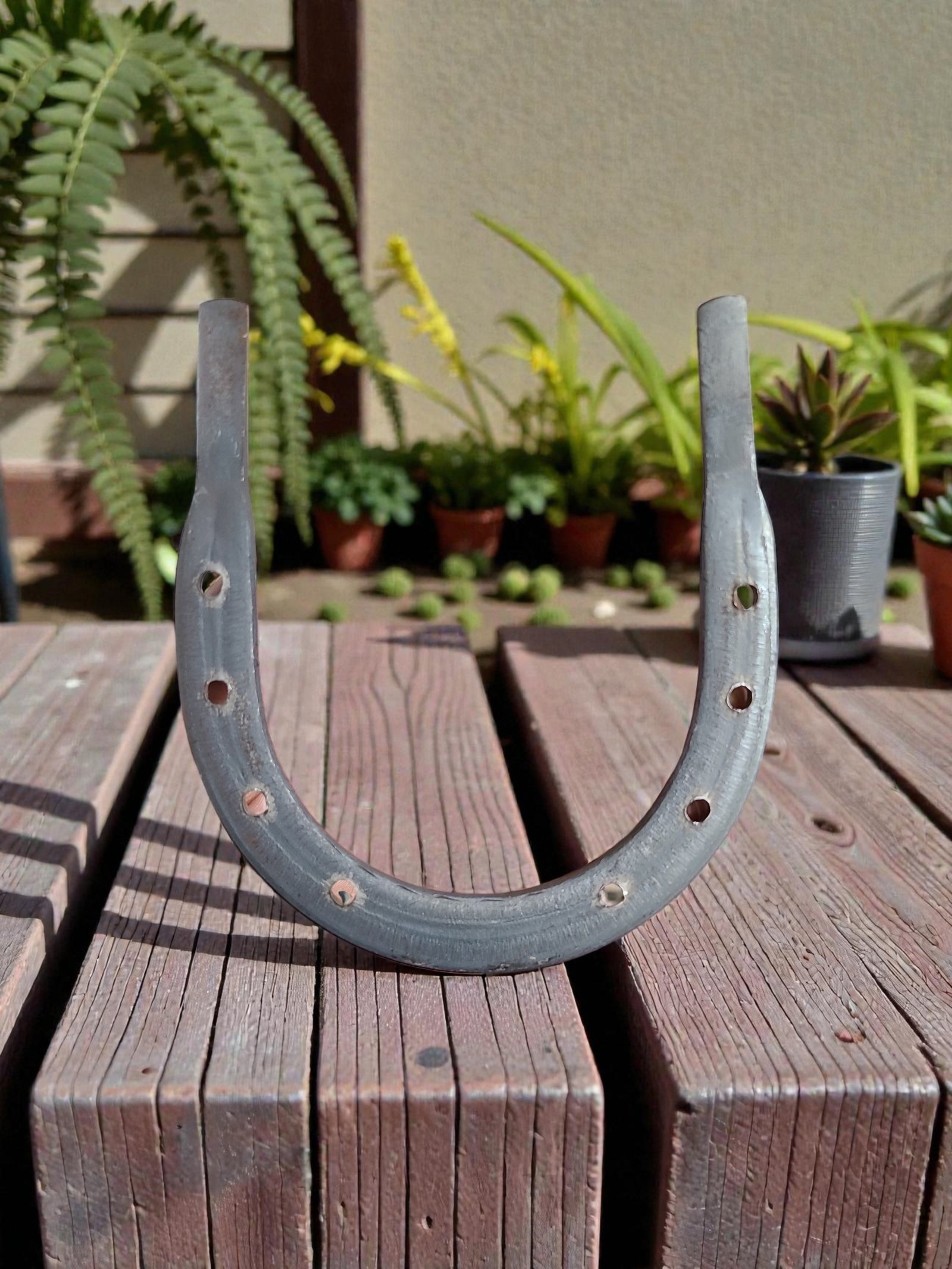 Real Iron Horseshoe | Lucky Protection Charm for Home & Altar