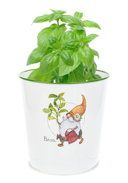 Gnome Herb Planter | Whimsical Metal Pots for Basil, Thyme & Sage