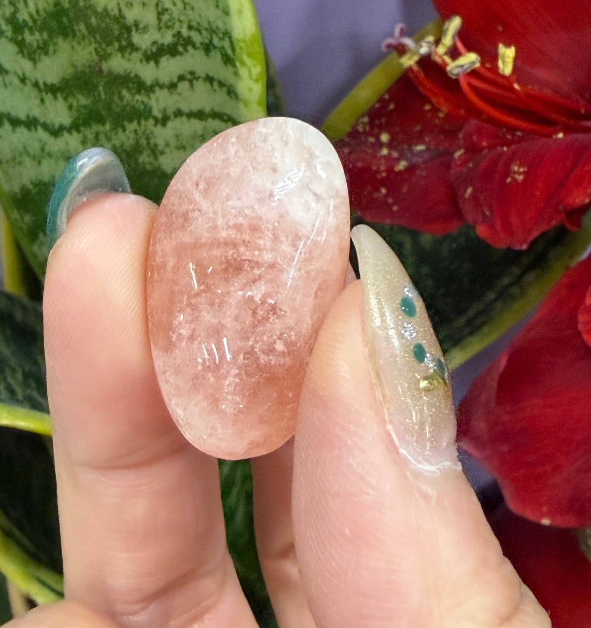 Hand holding a pink stone with a red flower and green plant in the background