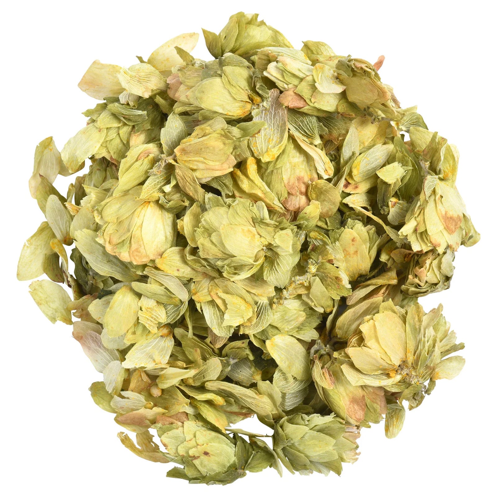 Hops Flowers whole 1oz (Humulus lupulus)