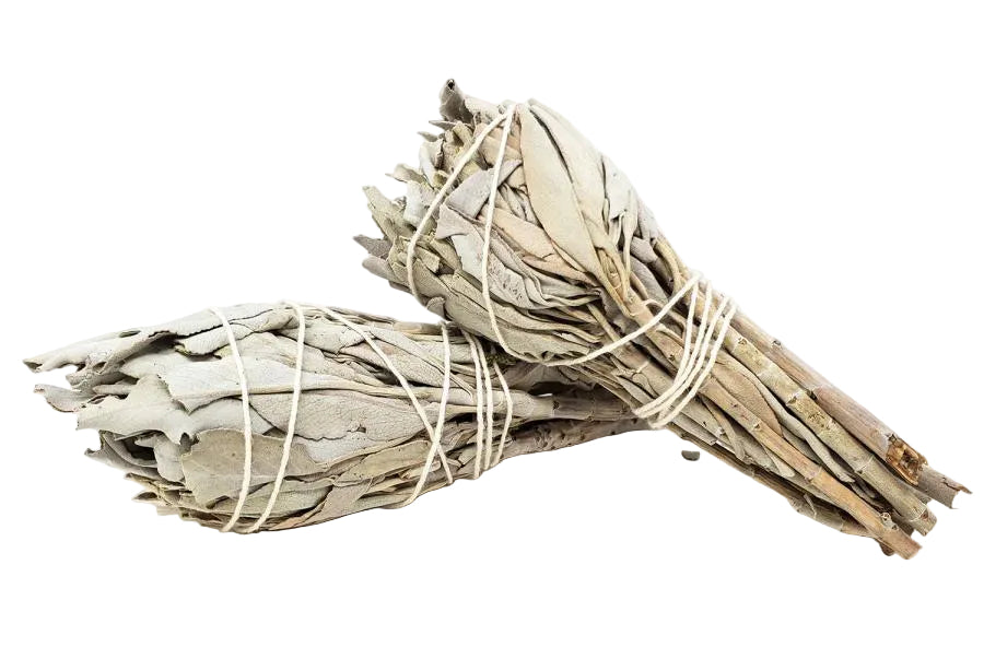 Two bundles of white sage tied together on a white background