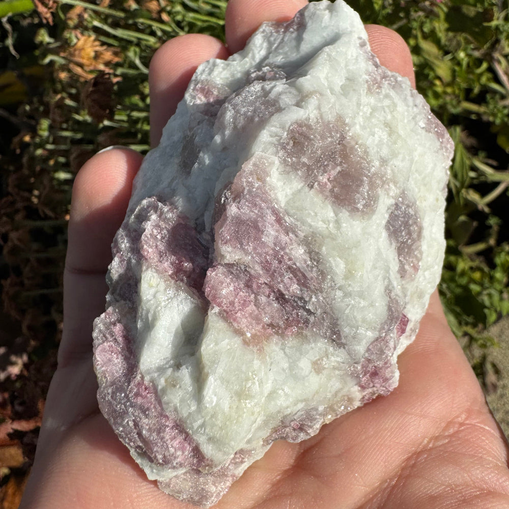 Hand holding a large crystal rock with a natural outdoor background