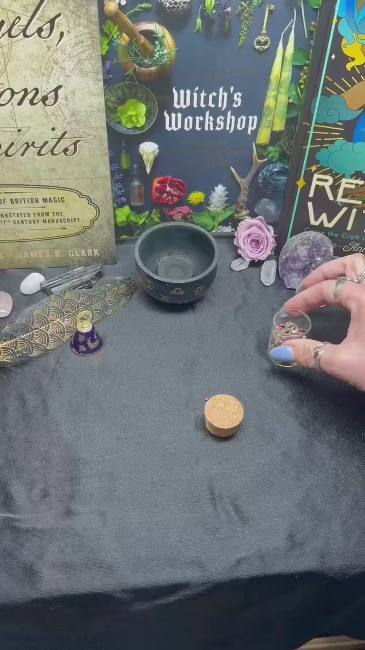 Mystery Taxidermy Boxes! No one knows...