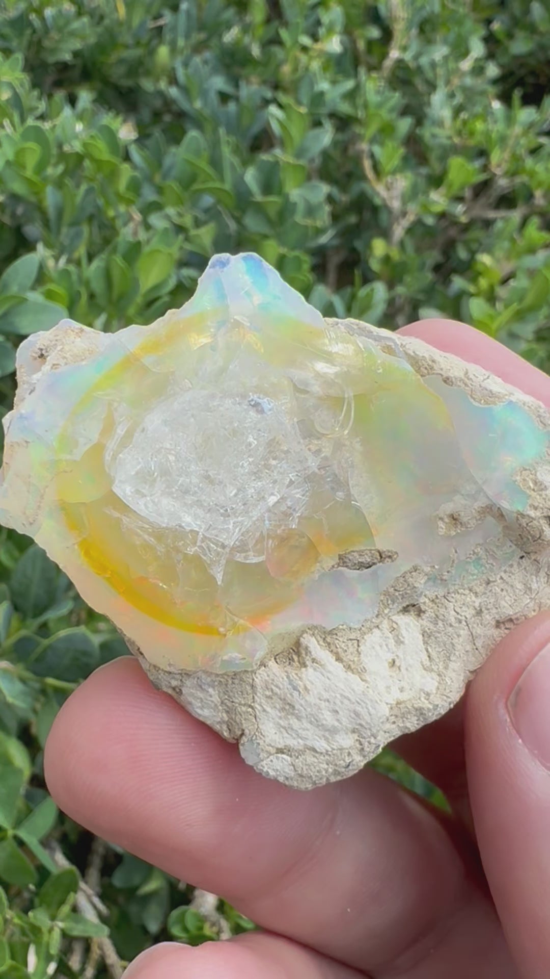 Ethiopian Welo Opal – 170 ct Natural Specimen