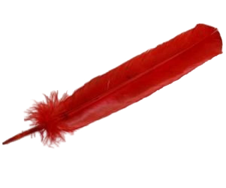 Smudging Feather - Assorted Styles