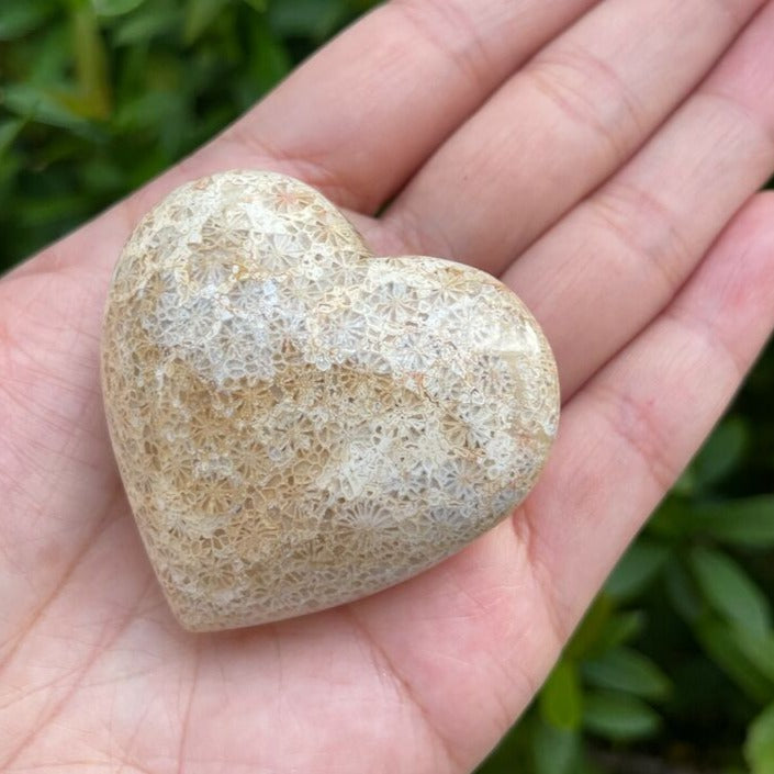 Coral Fossil Puffy Gemstone Heart - 2&quot;