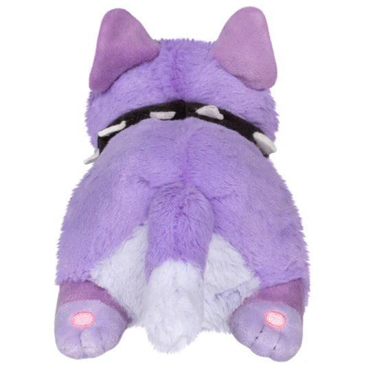 Snacker Squishable Phlox Cat