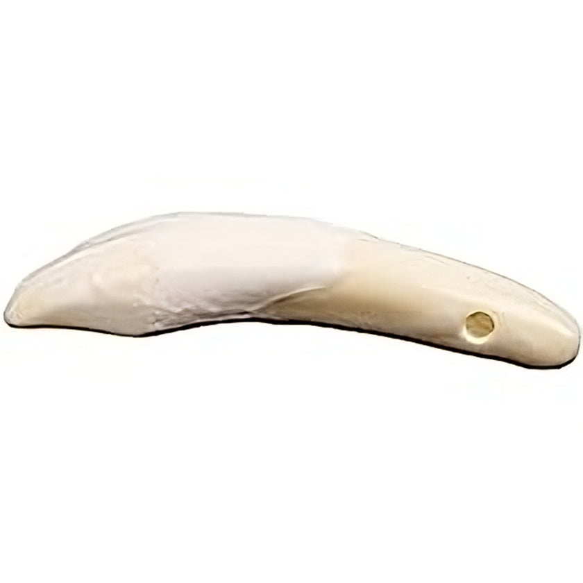 Claws, Jaws, and Such