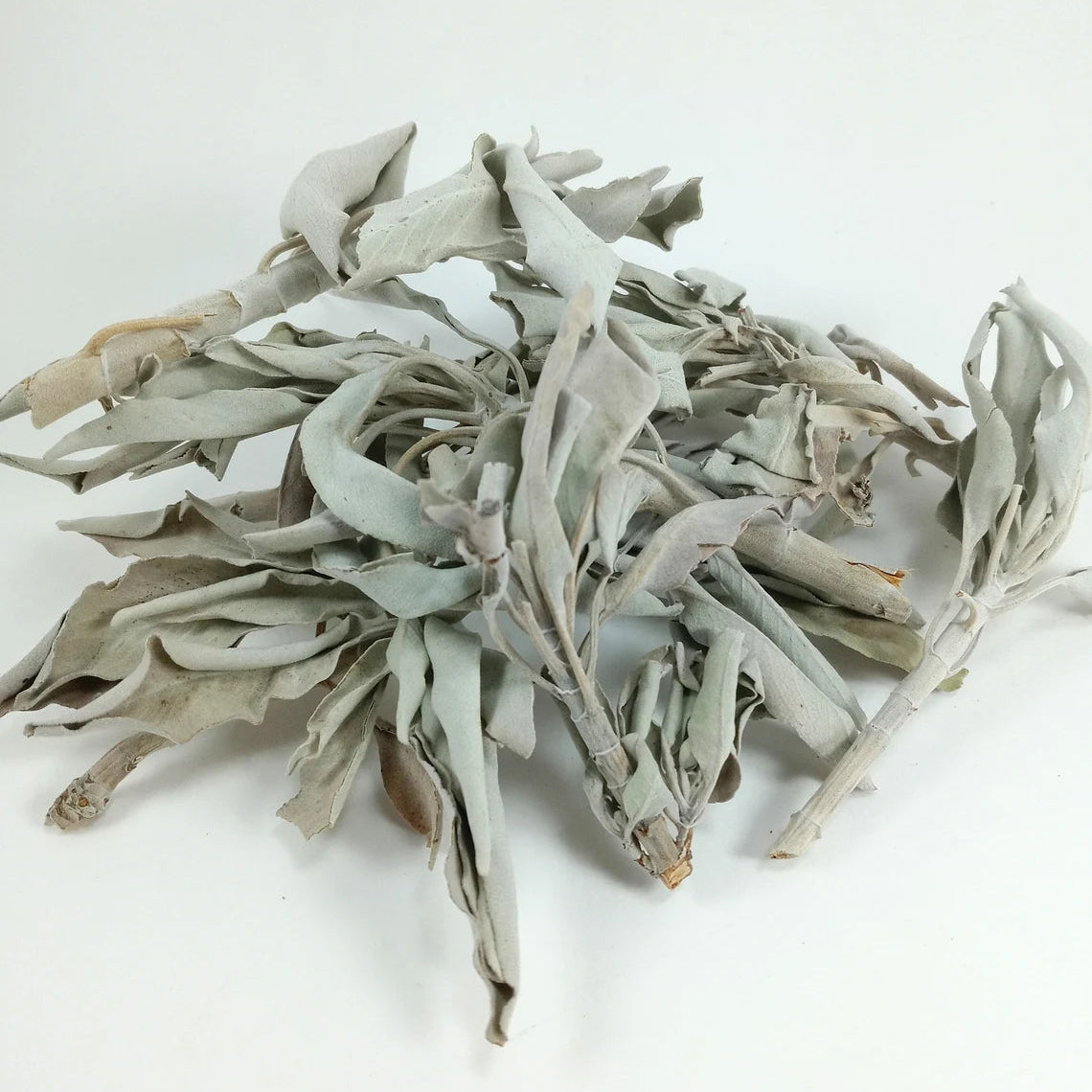 White Sage 1oz (Salvia Apiana) | Sacred Smudge Herb for Cleansing & Protection
