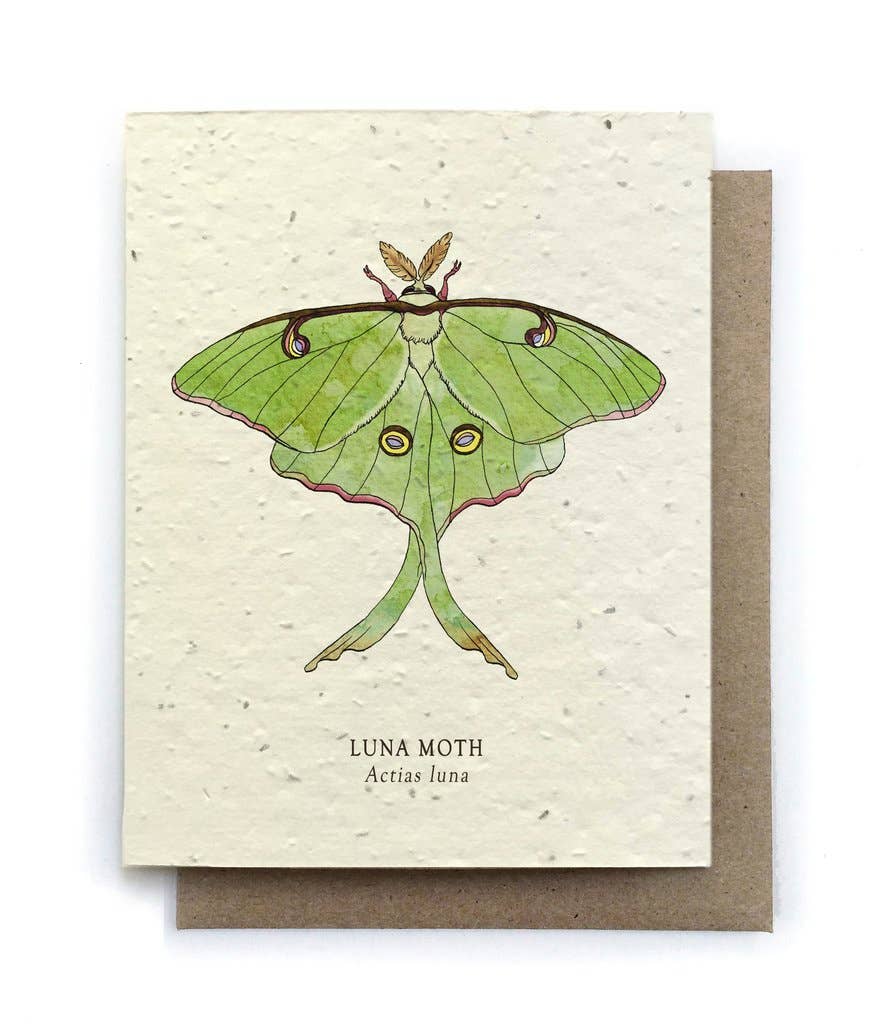 Luna Moth Insect Greeting Cards - Plantable Seed Paper