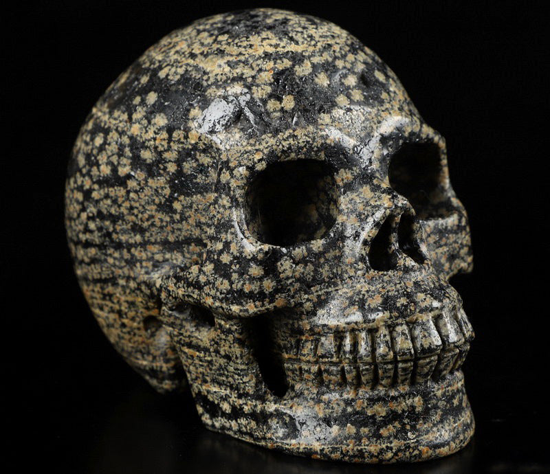 Leopard Skin Jasper Natural Crystal Skull Large 4.1"