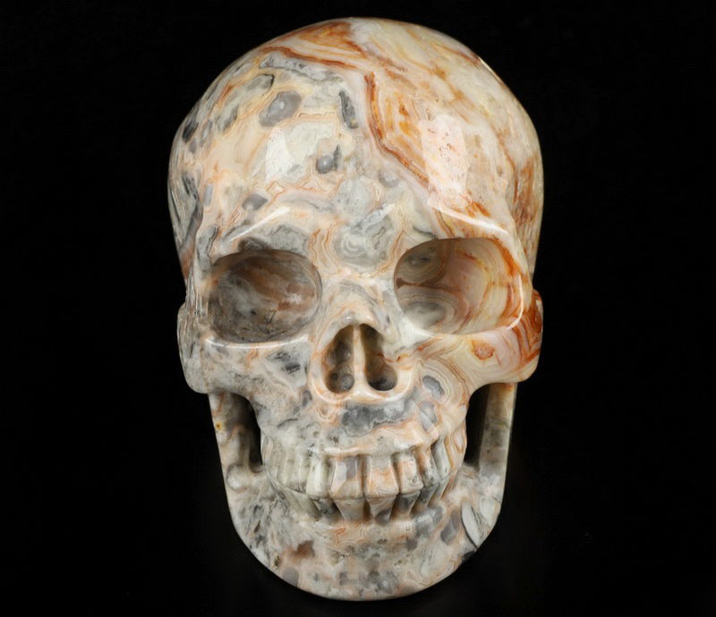 Crazy Lace Agate Natural Crystal Skull Large 5"