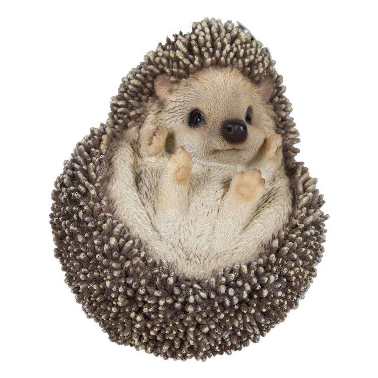 Realistic Hedgehog on Back Statue