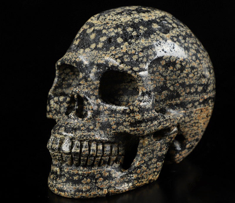 Leopard Skin Jasper Natural Crystal Skull Large 4.1"
