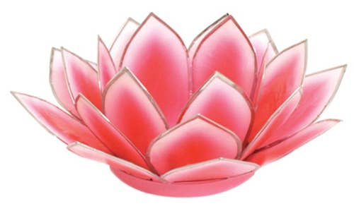 Dahlia Capiz Lotus Tealight Candle Holder - Pink