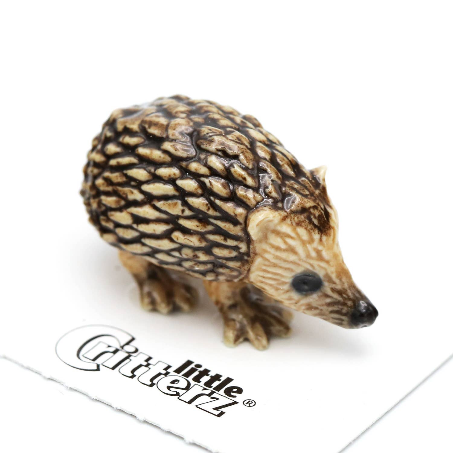 Tiggy Hedgehog Porcelain Miniature