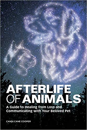 Afterlife of Animals: A Guide by Candi Cane Cooper