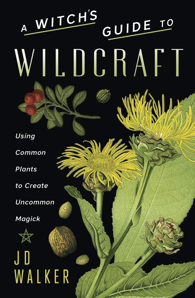 A Witch&#39;s Guide to Wildcraft: Using Common Plants to Create Uncommon Magick