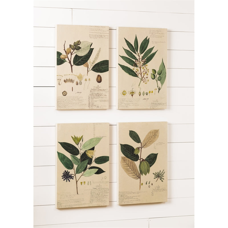 Fabric and Wood Plant Artwork, Set of 4