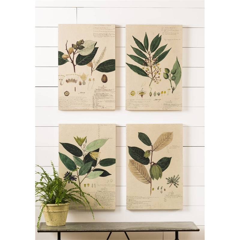 Fabric and Wood Plant Artwork, Set of 4