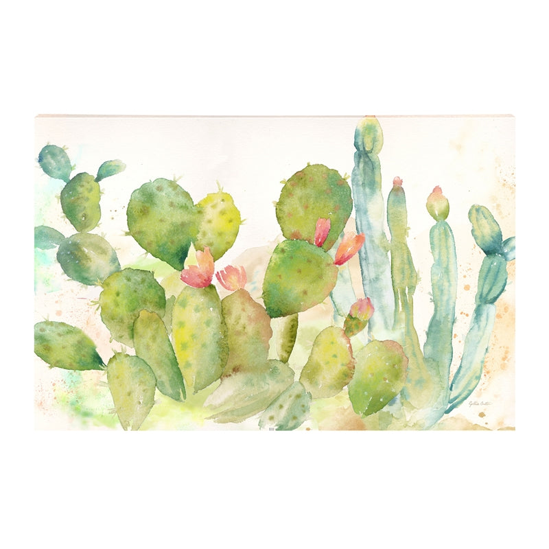 Cactus Garden Landscape 36 x 24 Outdoor Wall Canvas