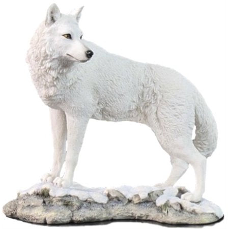 White Wolf Looking Back Statue 9.5 Inch