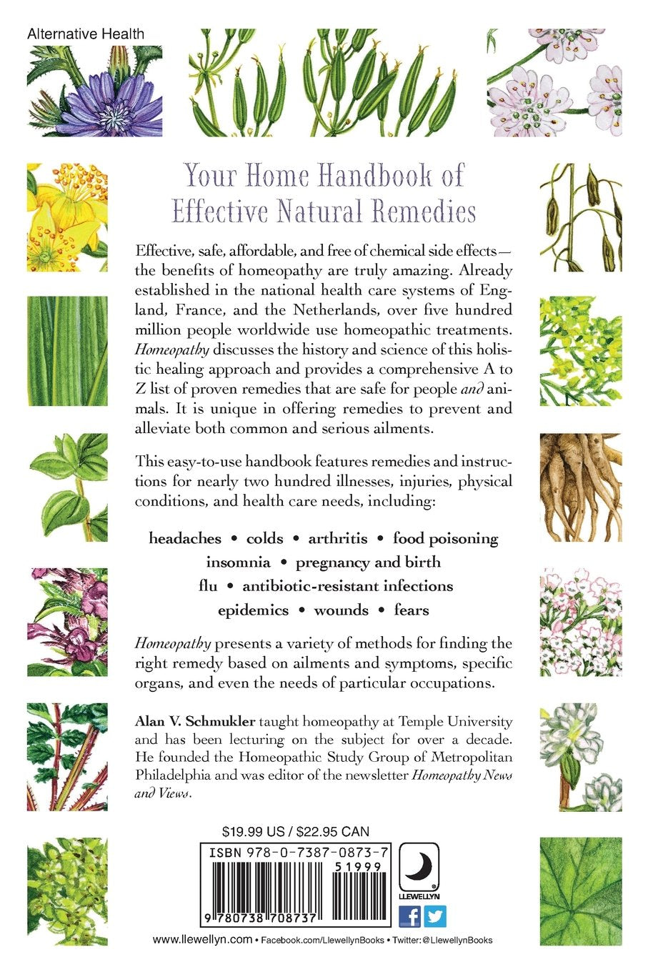 Homeopathy An A to Z Home Handbook by Alan Schmukler