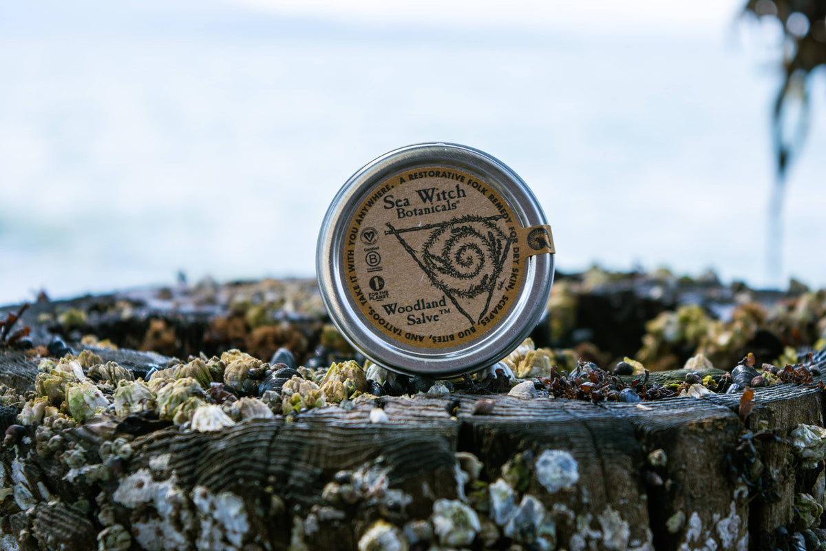 Sea Witch Botanicals Woodland Salve