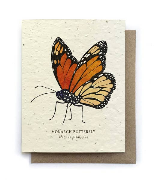 Monarch Butterfly Greeting Cards - Plantable Seed Paper
