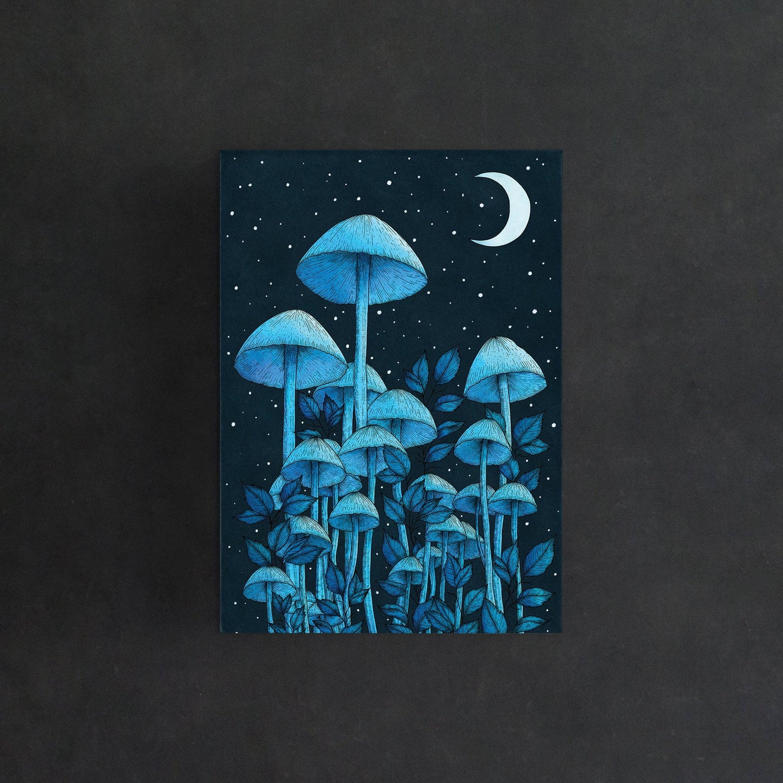 Star Mushrooms - Postcard Mini Print