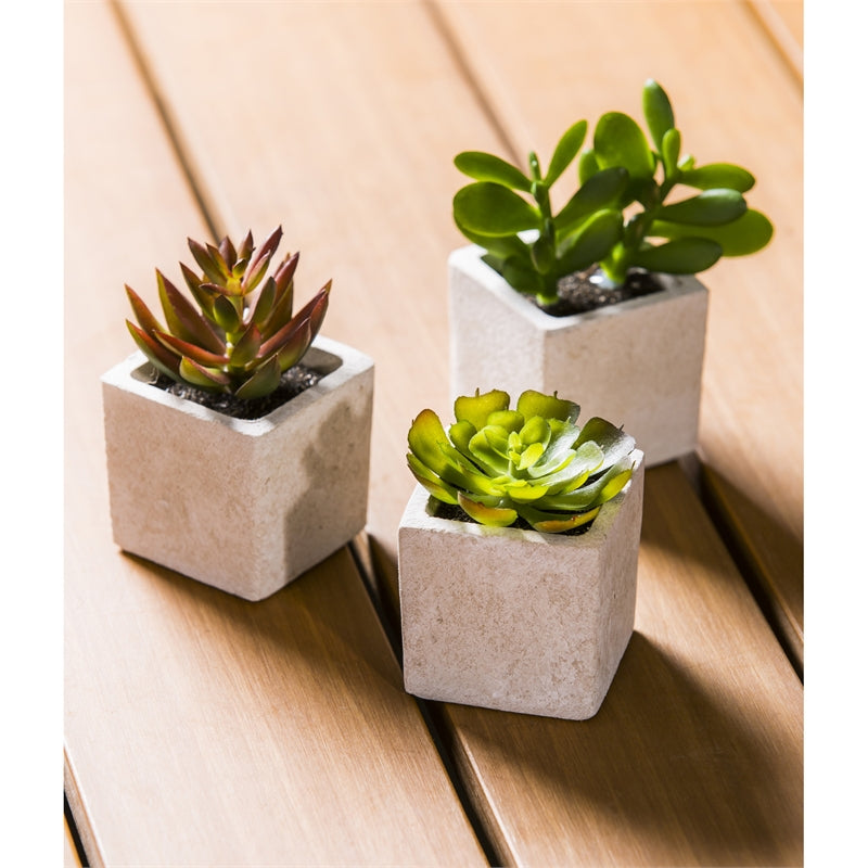 Artificial Succulent in Square Pot
