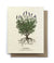 Lavender Botanical Greeting Cards - Plantable Seed Paper