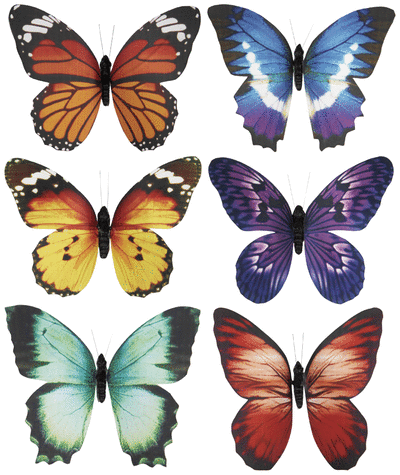Single Butterfly Magnet