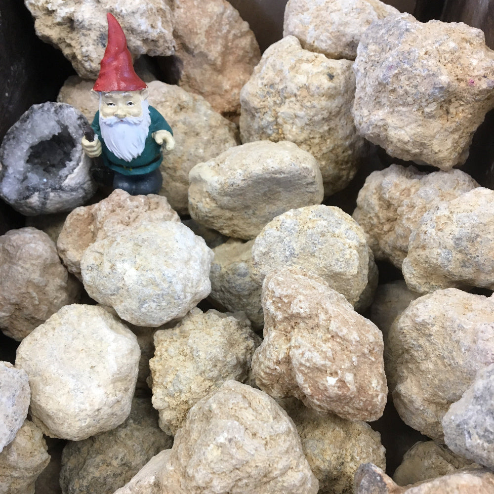 A collection of plain-looking geode rocks displayed, with a small decorative gnome figure among them.